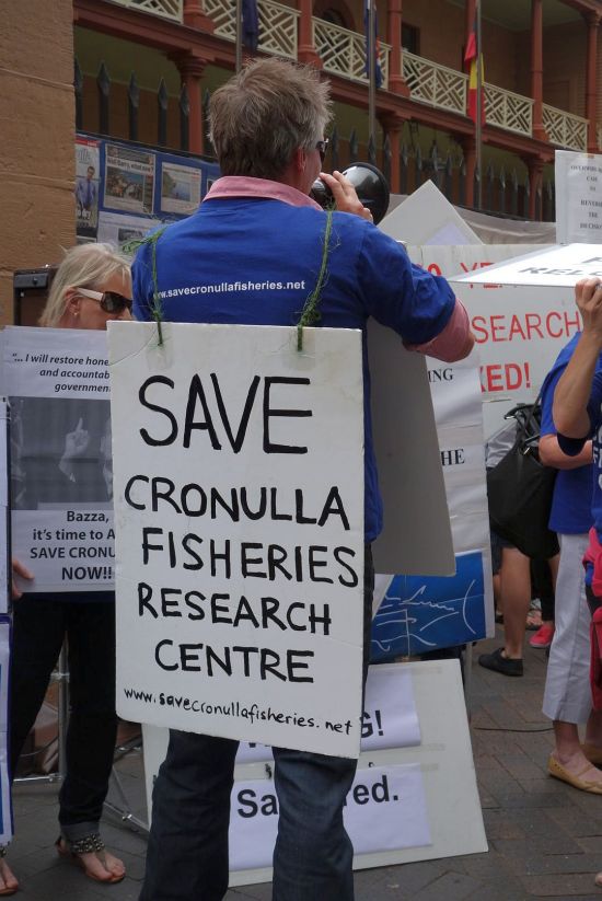 Cronulla Fisheries closure put on hold